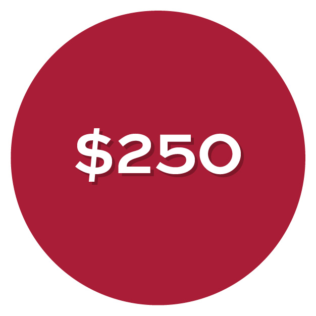 Pay What You Can $250